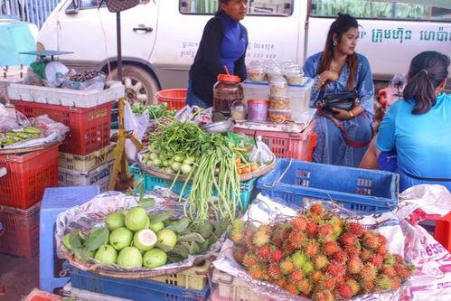 娱乐吃瓜酱柬埔寨骗局,娱乐吃瓜酱背后的真相