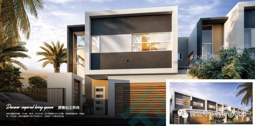 娱乐吃瓜设计理念,吃瓜群众的狂欢盛宴